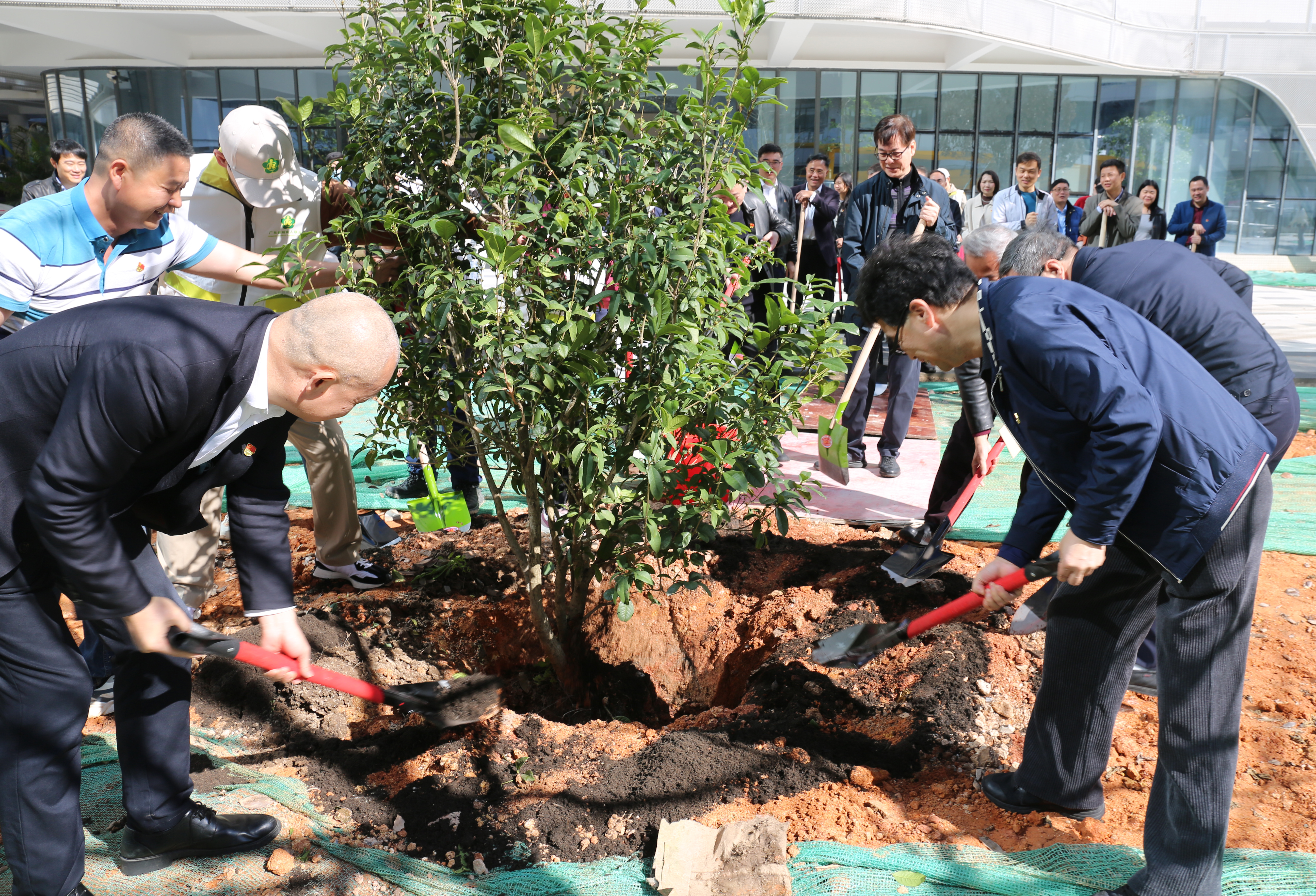 省残联开展“绿美广东 携手同行”植树活动